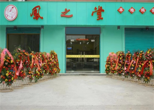 凤之堂---加盟店